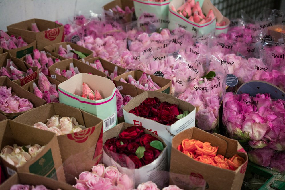 Garden Center Cidade das Flores