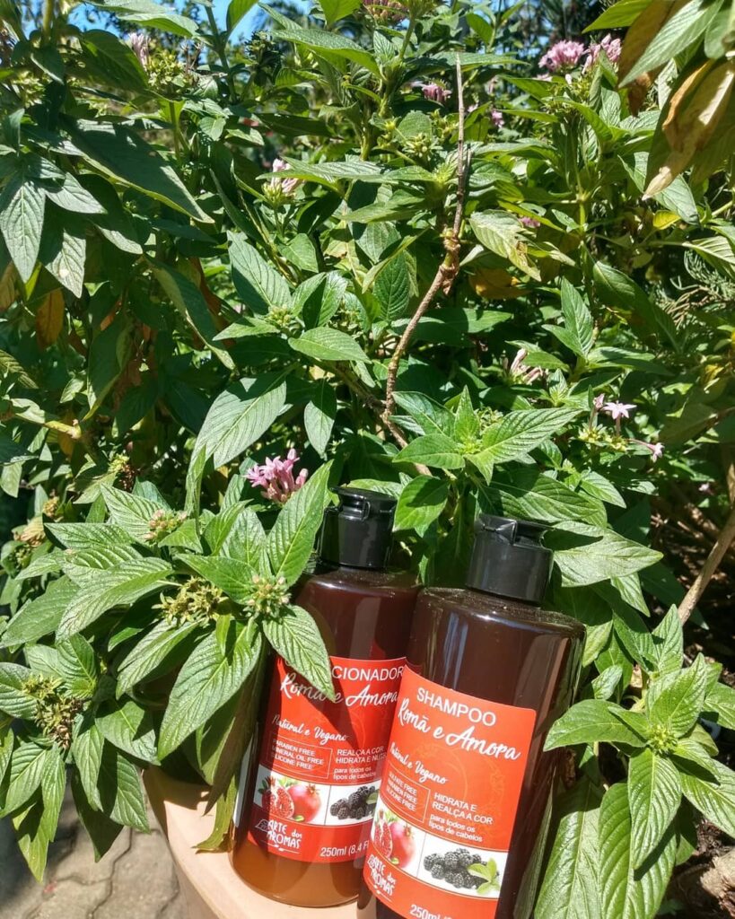 Aromas de Holambra
